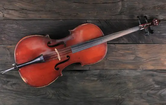 Violin vs Viola: Understanding the Key Differences in Sound, Size, and Role