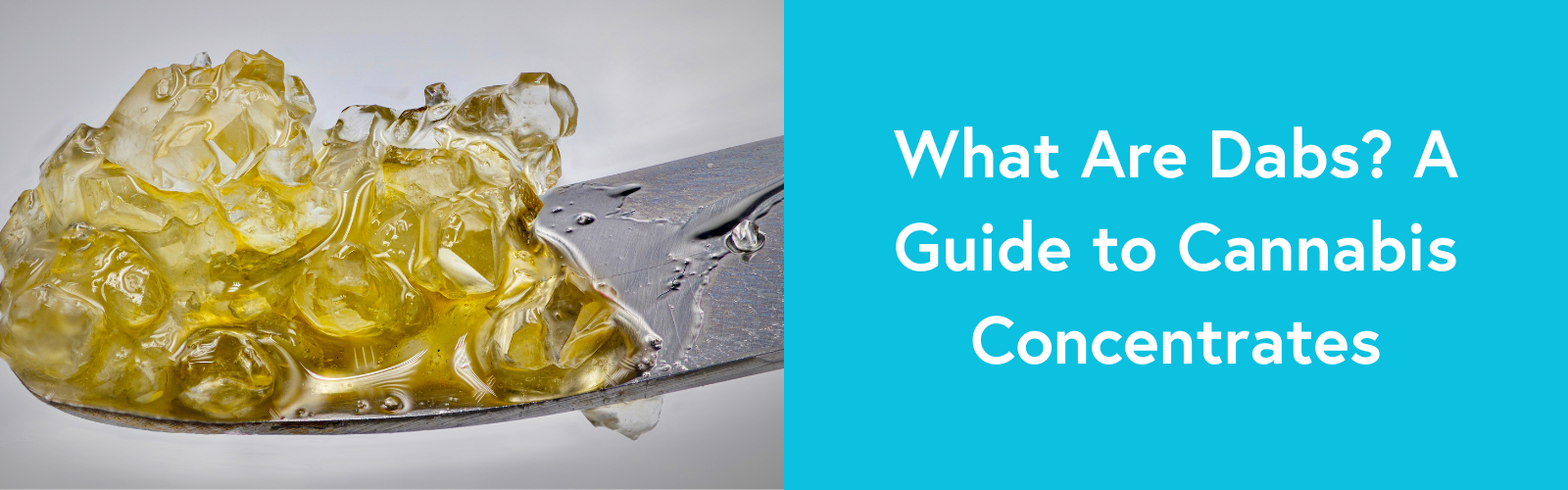 What Are Dabs? Learn About Cannabis Concentrates & Their Effects
