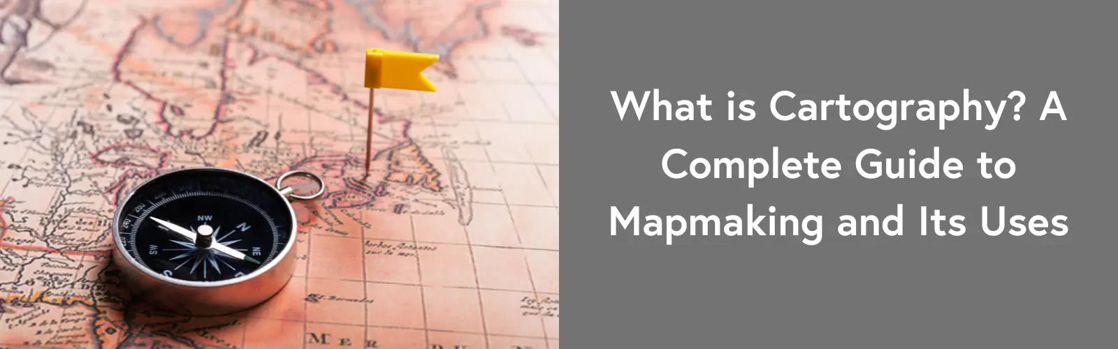 What is Cartography? Explore the Art and Science of Mapmaking