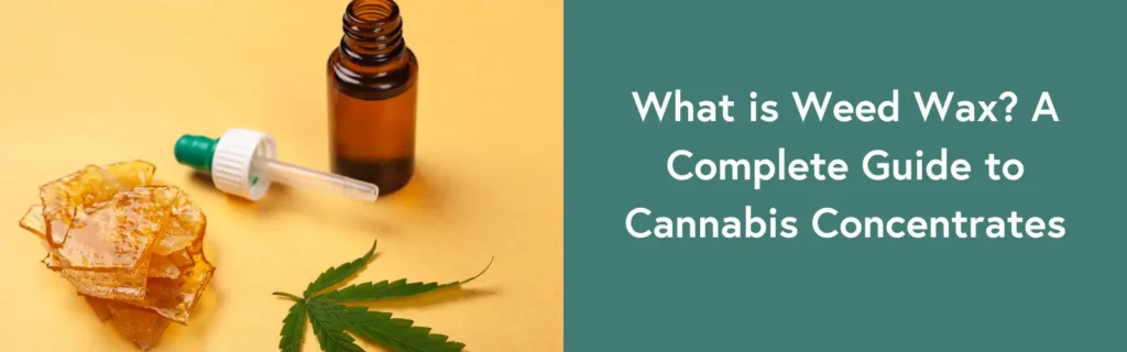 What is Weed Wax A Complete Guide to Cannabis Concentrates