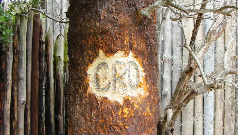 Croatoan carving tree Roanoke | the Lost Colony of Roanoke