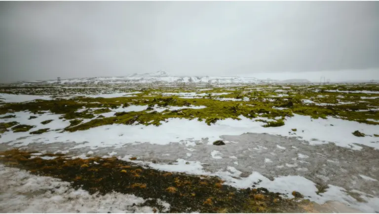 Frozen ground permafrost | Illegal to Die