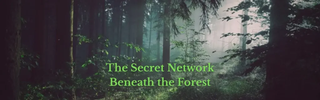 How Trees Communicate
