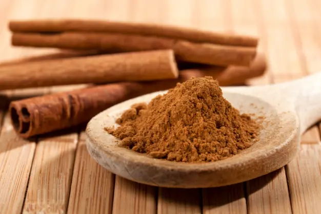 Cinnamon (Dalchini) | Indian Spices