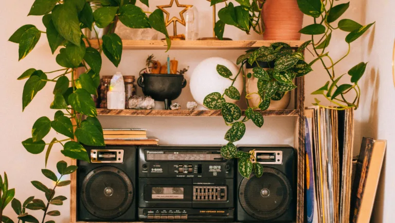 cozy room with plants and speaker | How Plants Can Hear and Respond to Sounds