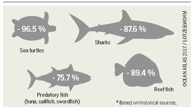 fish decline noise pollution