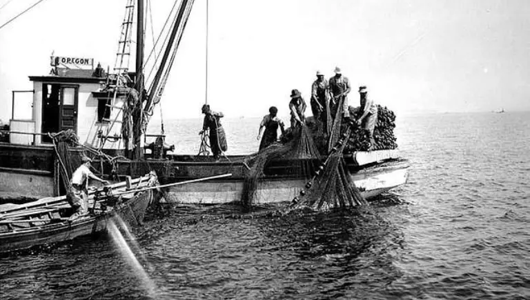 fishing industry impact ocean noise | The Ocean Is Getting Louder