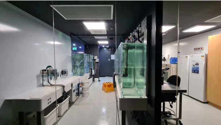 futuristic lab regenerative medicine | Immortal Jellyfish
