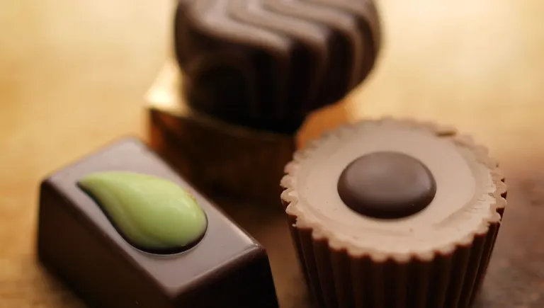 Artisanal Swiss Chocolate | Swiss Chocolate
