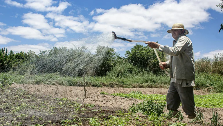 happy farmer with plants | How Plants Can Hear and Respond to Sounds