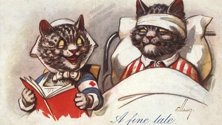 injured cartoon cat | Why Cats Always Land