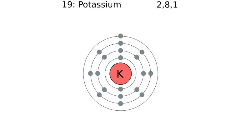 potassium atom | Why Bananas Are Radioactive
