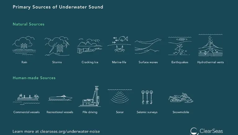 sources of ocean noise infographic | Shocking Truth Revealed: The Ocean Is Getting Louder