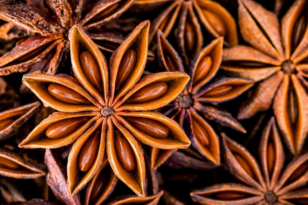 Star Anise (Chakriphool) | Indian Spices