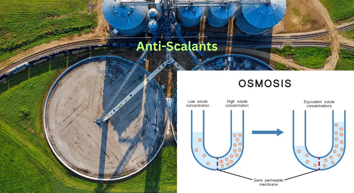 What Are Anti-Scalants Types, Uses, and Benefits in Water Treatment