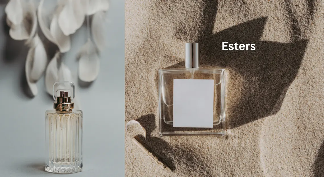 What Are Esters? Structure, Properties, Types, Formation, and Uses