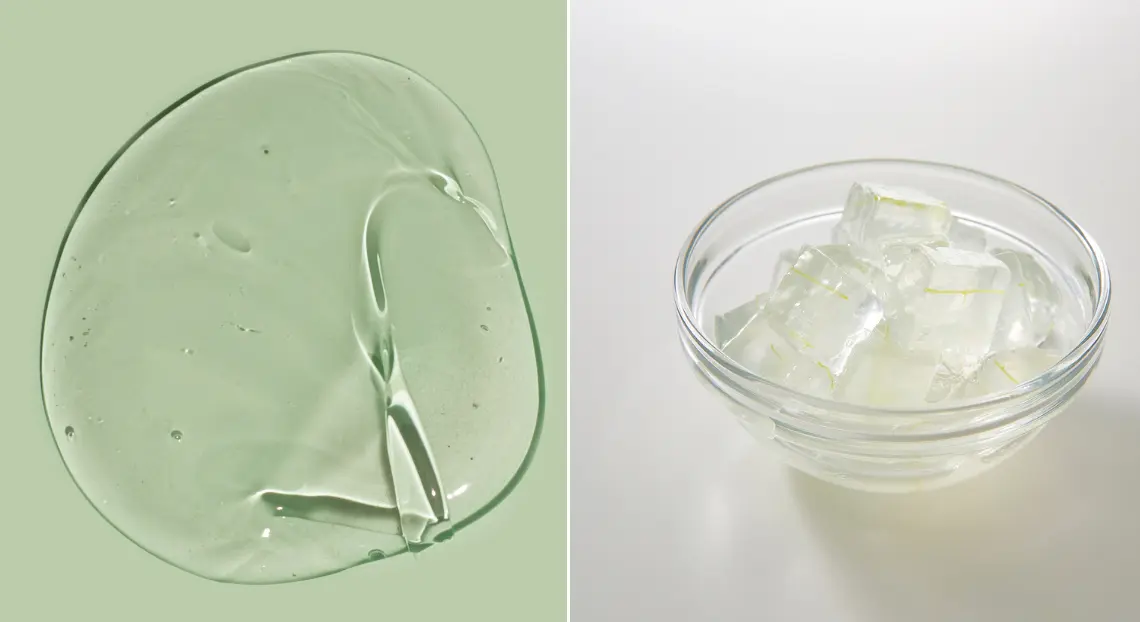 _Polyacrylamide Gel vs Agarose Gel Complete Comparison