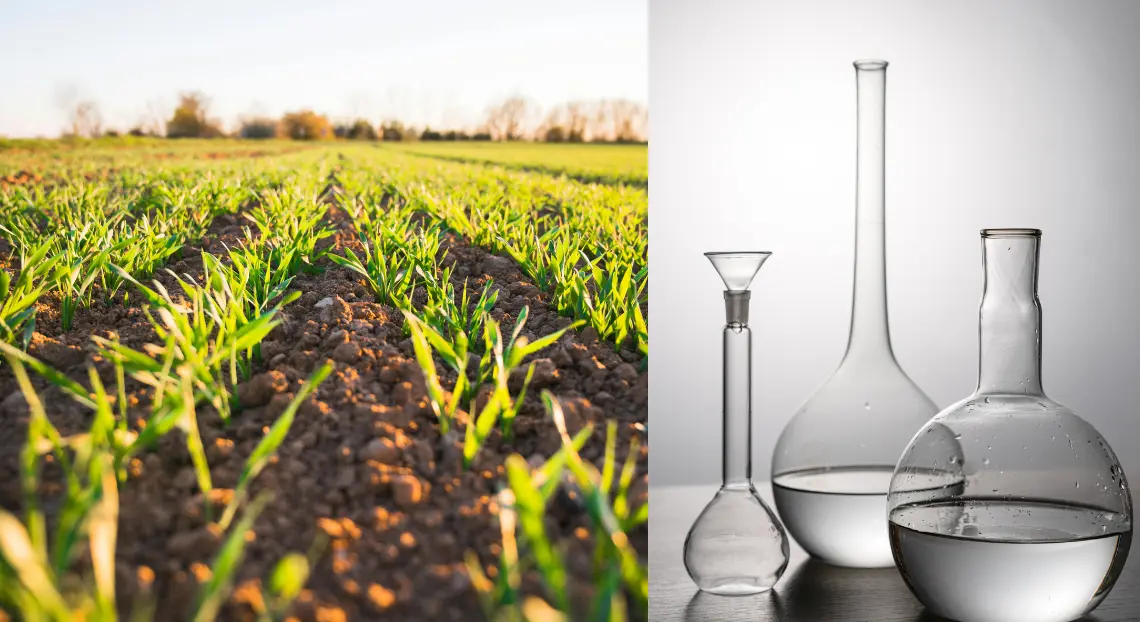 What Is Sulphuric Acid Properties, Uses, Production, and Safety